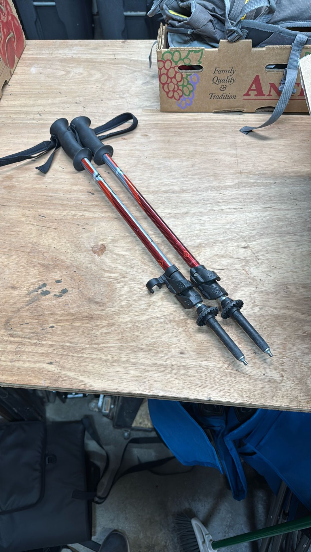Black Diamond Trekking Poles