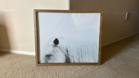 Horse Print with frame