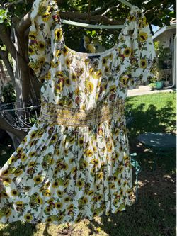 BoxLunch Shrek dress adult