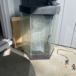 20 gallon hexagon fish tank