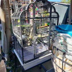 Bird Parrot Cage