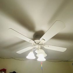 Ceiling Fan 52” In