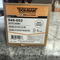 Rear Air Strut Assembly 