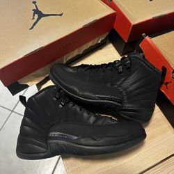 Nike Jordan 12 Winter Black SUPER RARE SIZE 9