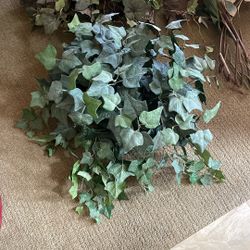 Plastic Plants 