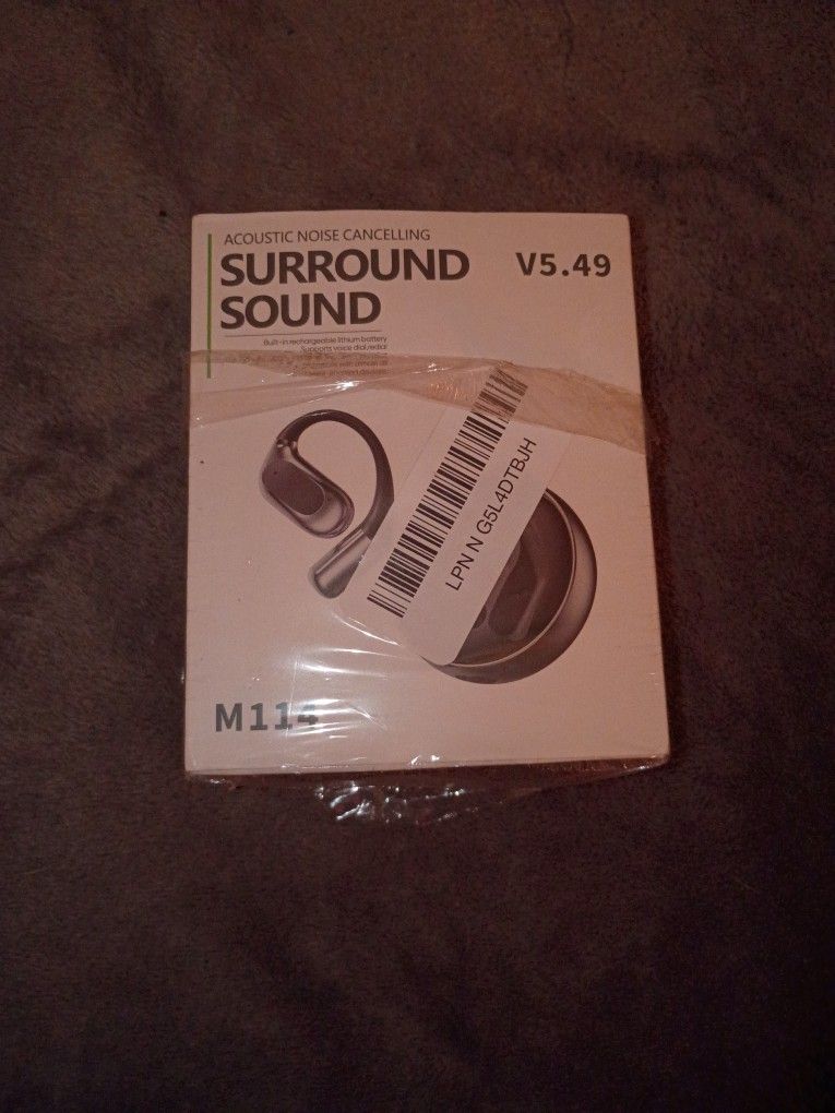 Earphones