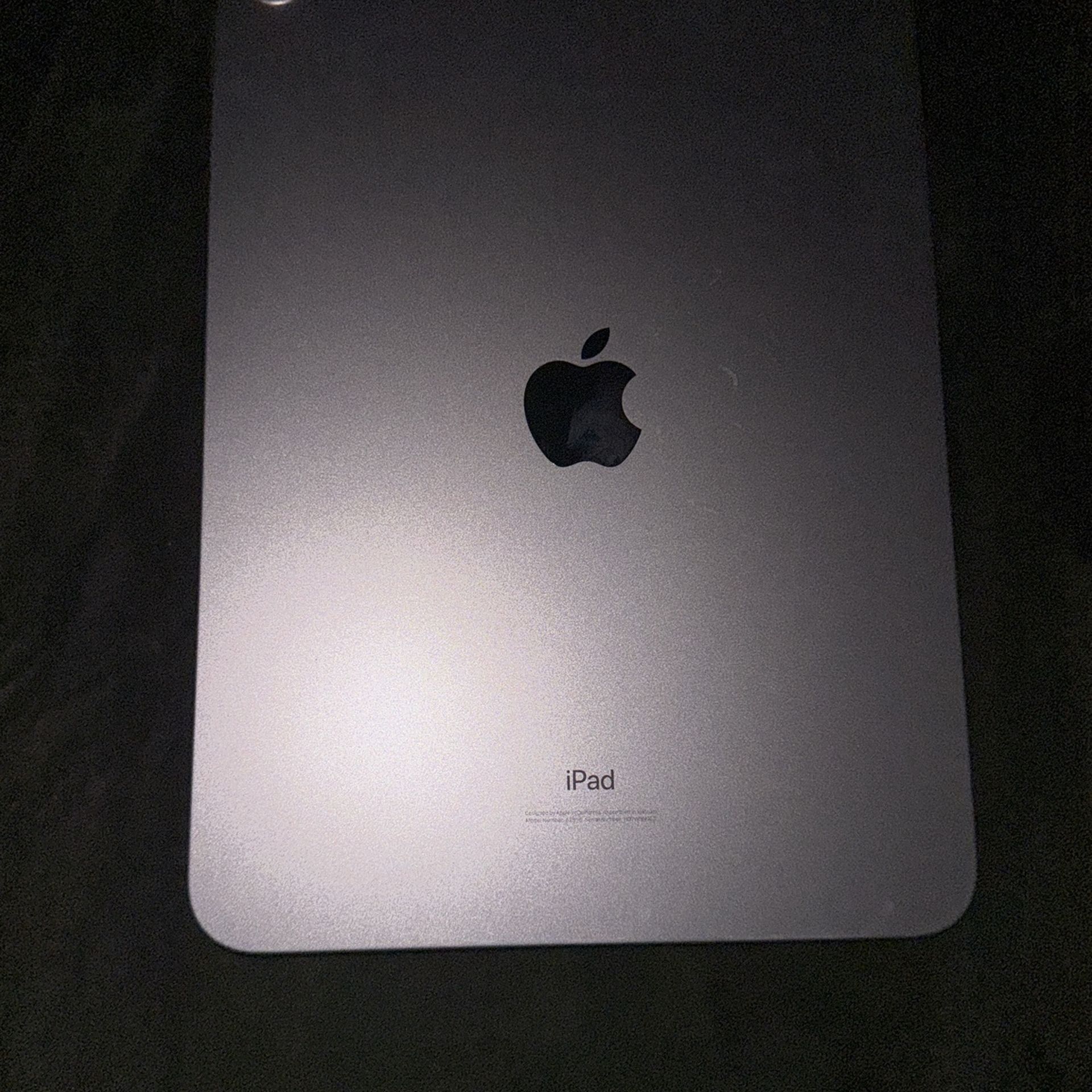 ipad 10 (2022) With Case