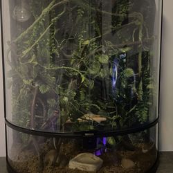 Vertical Terrarium