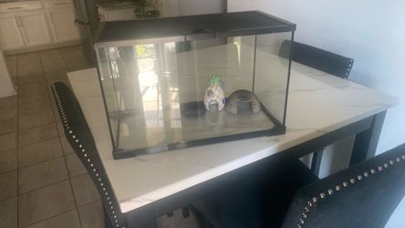 Lizard Tank