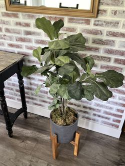 Faux Fiddle Leaf Plant 