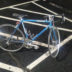 Schwinn Traveler