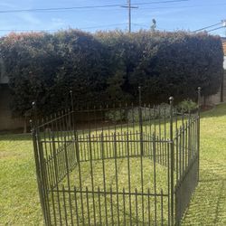 Wrought Iron Fencing