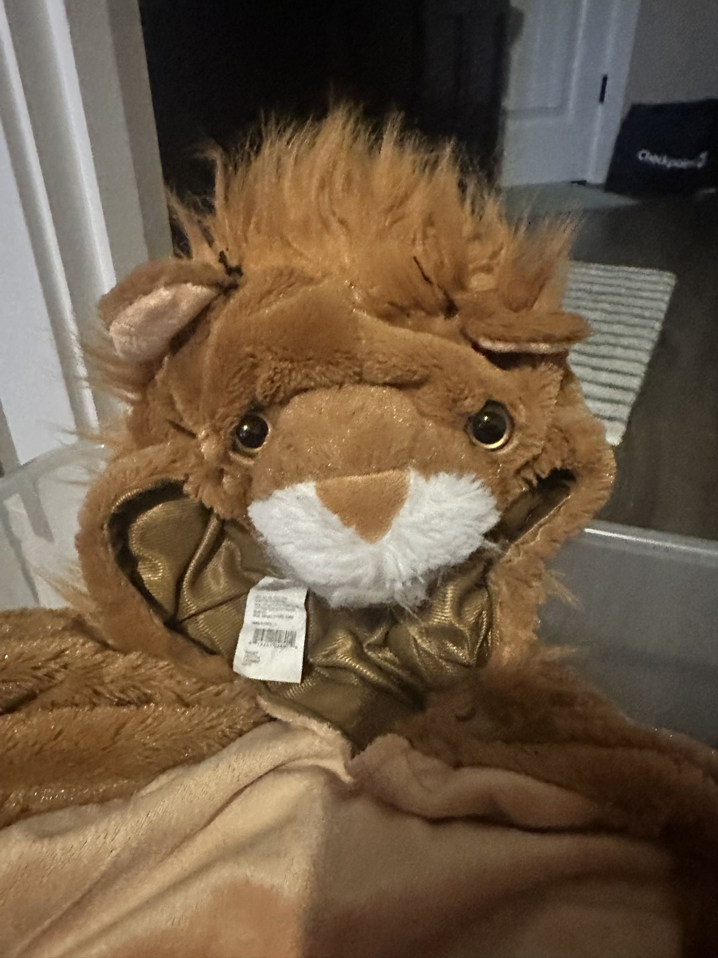 Baby Lion Plush Halloween Costume 18-24m - USED once