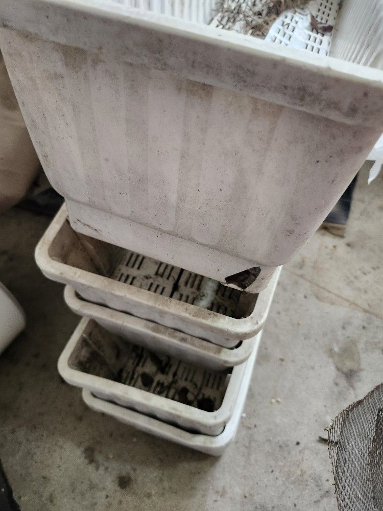 Flower Pots 