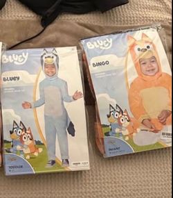 Bluey and Bingo costume