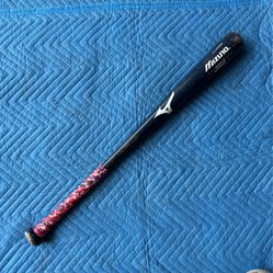 Mizuno Baseball Wood Bat