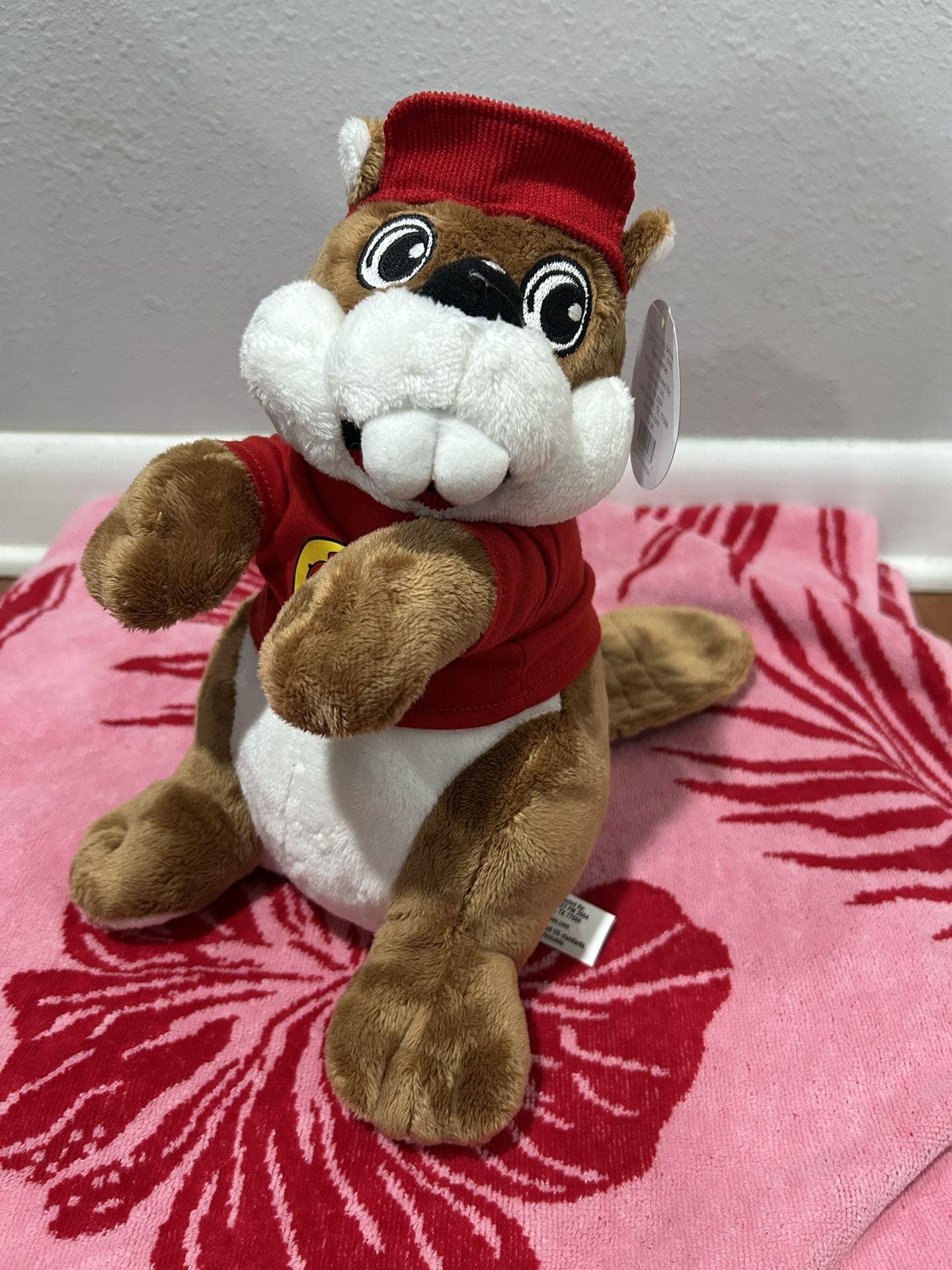 Buc-ee’s Plush Beaver