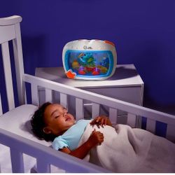 Baby Einstein 