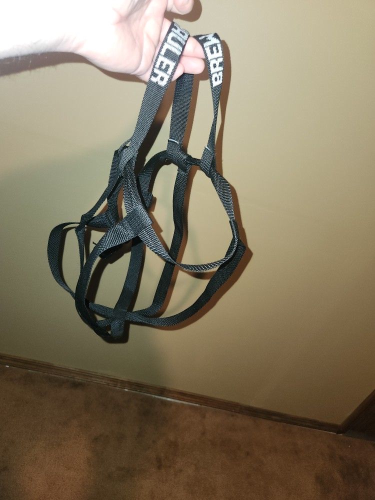Carboy Carrier