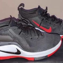NIKE LEBRON WITNESS II BRED Buy Or Trade