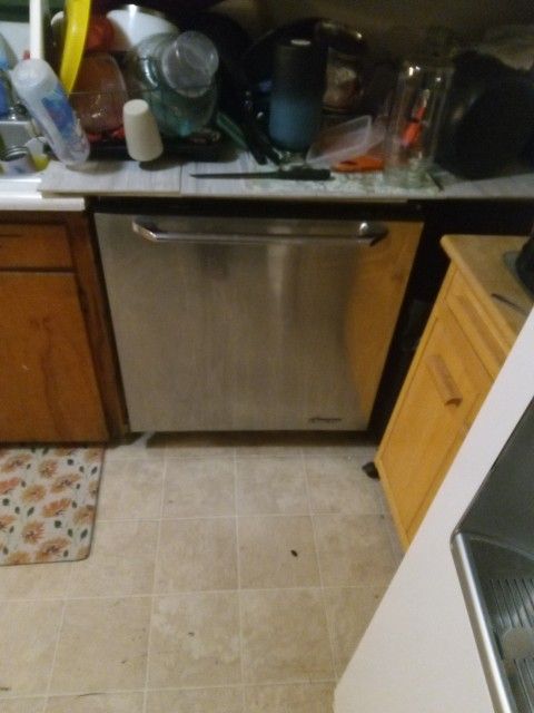 30 Inch Decor Dishwasher