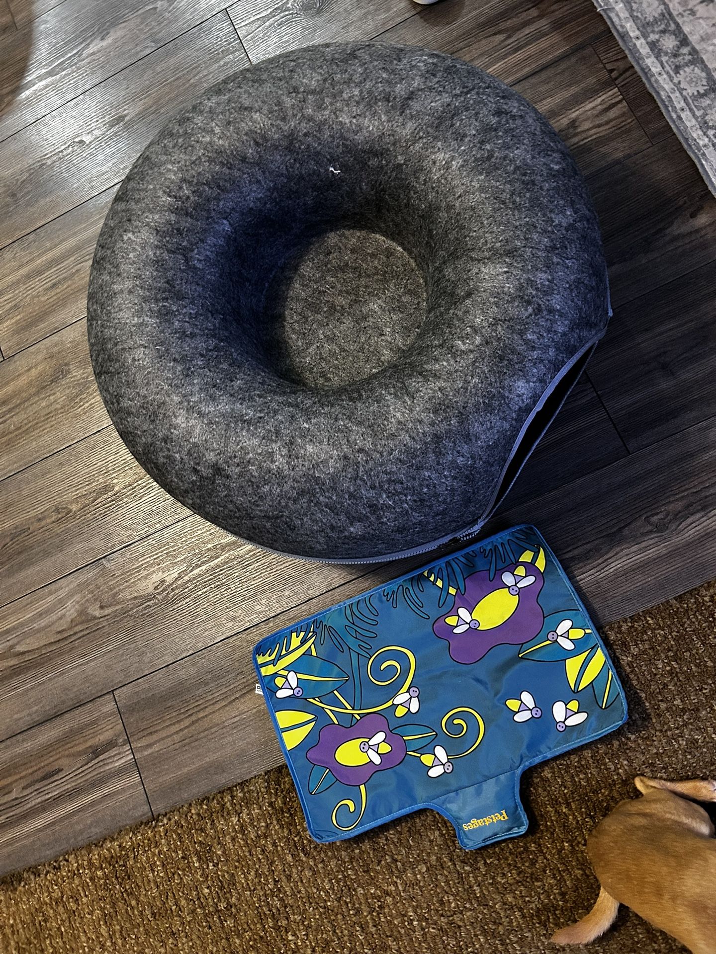 Cat donut and light up interaction toy