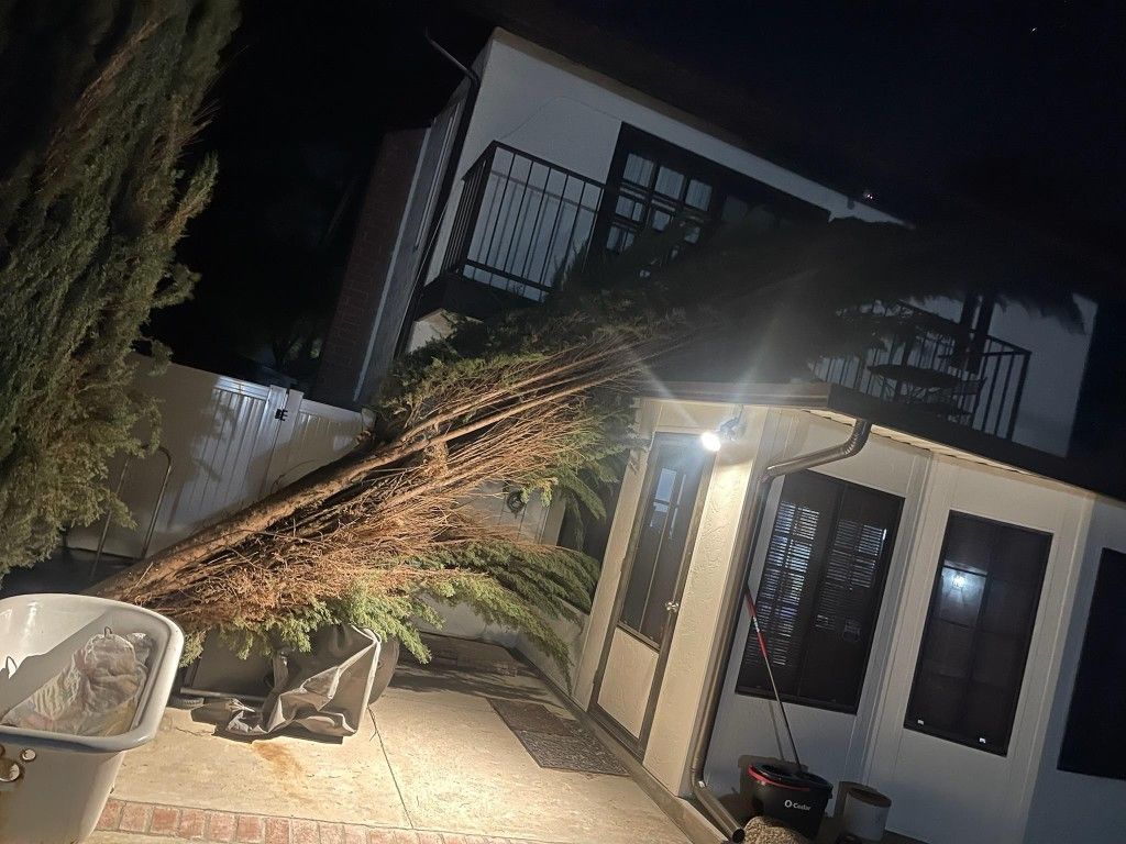 Tree . Trimmer