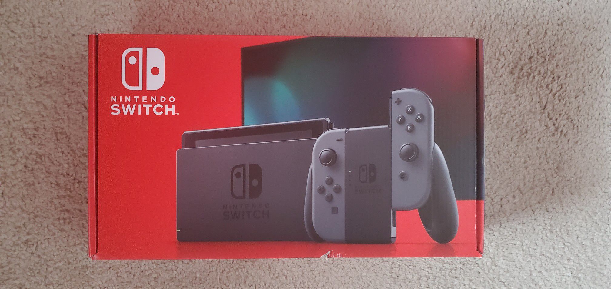 Brand New Gray Nintendo Switch