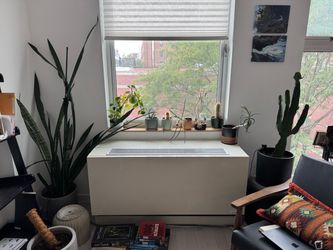 Assorted Indoor Houseplants and pots