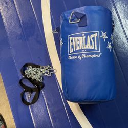 Everlast Punching Bag Mma Boxing New