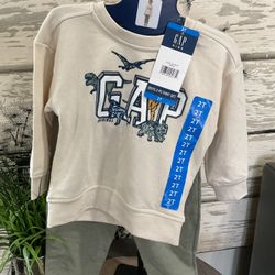 Boys Gap Fleece Sweatshirt And Pants Set Sz 2T
