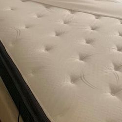 NEW QUEEN PT *MT* STILL IN PACKAGE 50 Down