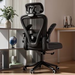 Ergonomic Office Chair M903, Computer Desk Chair with Wheels, High Back Mesh Office Chair with Adjustable Lumbar Support, Headrest, Flip-Up Armrests, 