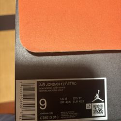 Jordan 12