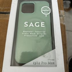 Iphone 12/13 Pro Max Case 