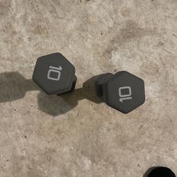 10 Ibs Dumbbell 