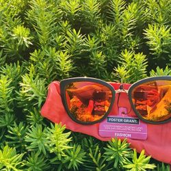 Foster Grant Sunglasses With Pouch