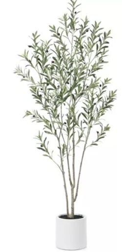 NEW! Pretty 7' Olive Tree W/White Pot Included! Multiple Trees! Multiple Trees Available! $2/$225