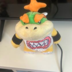 Bowser Junior
