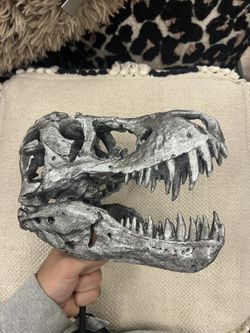 T-Rex / Dinosaur skull Statue 
