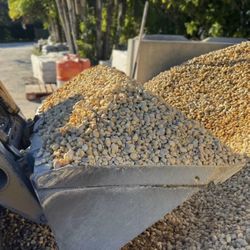White River Rock - Yard