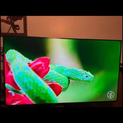 Sony 85” Class X85J 4K HDR LED with Google and Apple TV