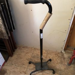 Waking Cane