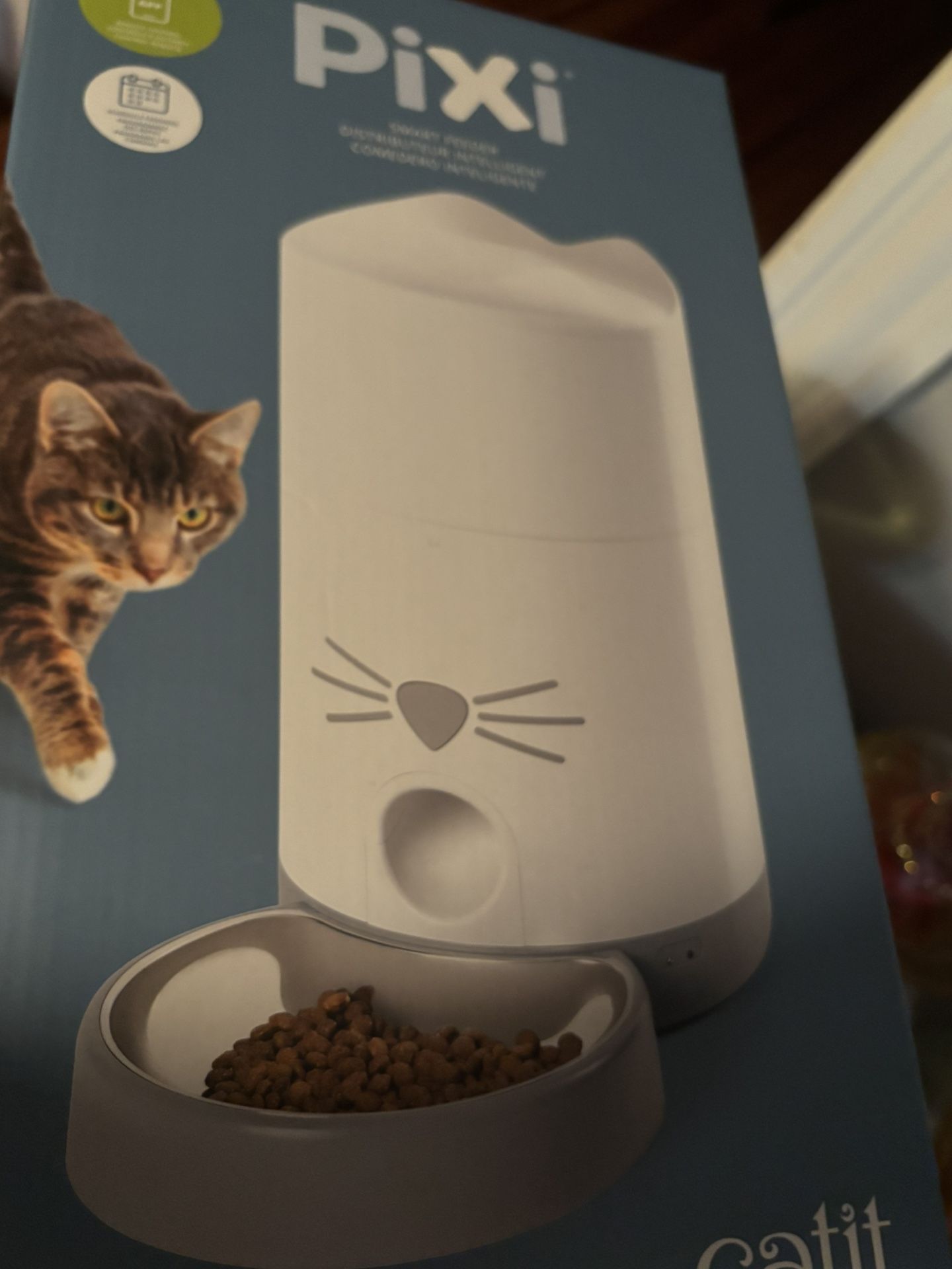 Cat Fountain