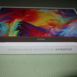 PORTABLE MONITOR M156F01