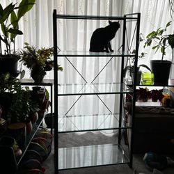 Black Metal 5-Glass-Shelf Bookcase