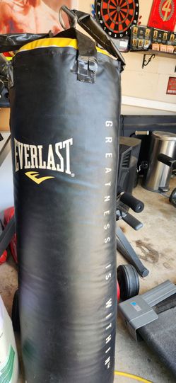 Everlast 100 lb Punching Bag