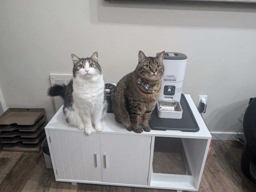 Cat Litter Cabinet 