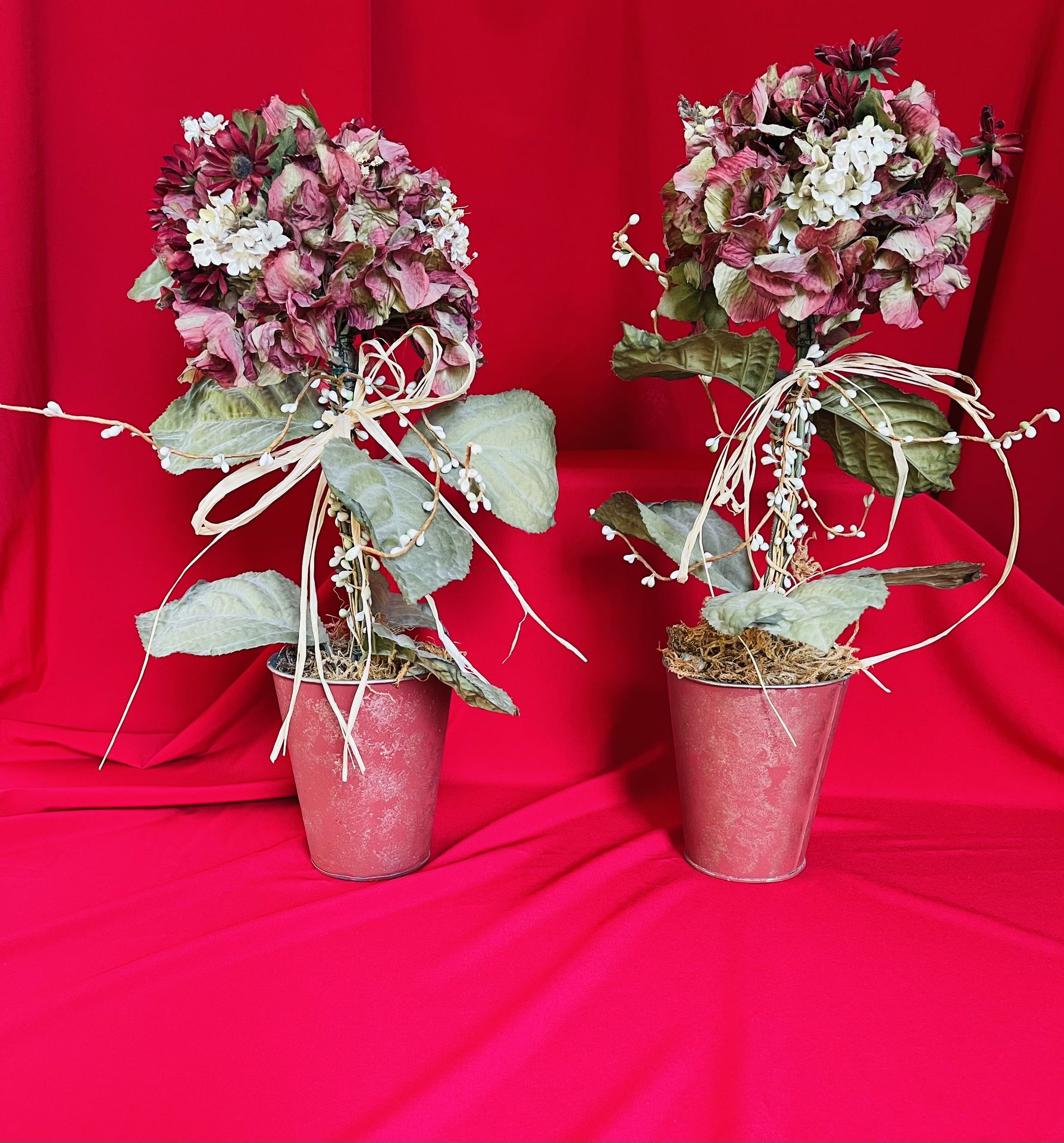 Topiaries Flowers/Plants