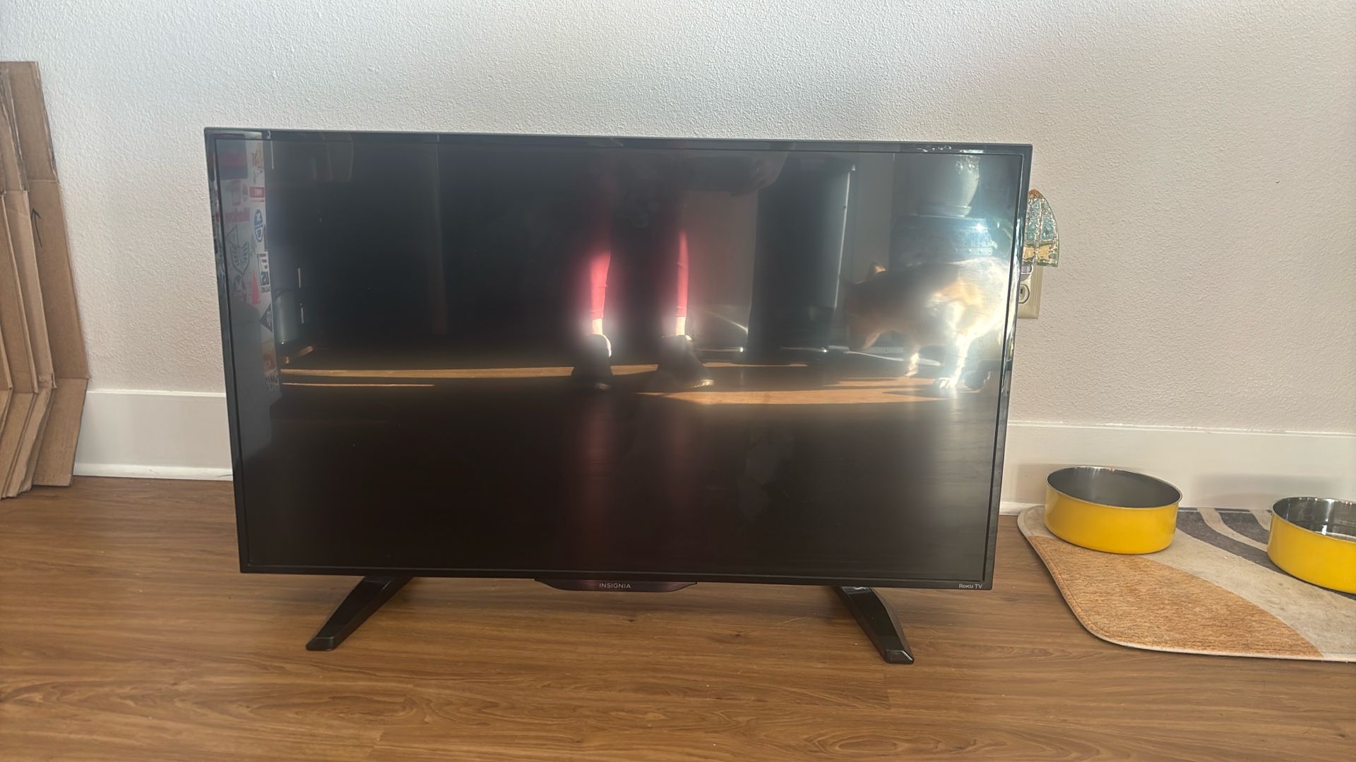 Insignia 32in ROKU TV